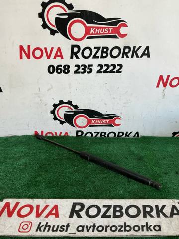 Амортизатор двері задньої 4L0827552C VAG