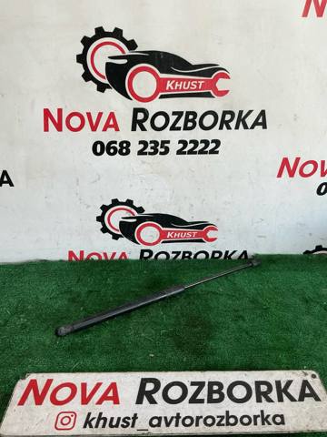 Амортизатор двері 3/5-ї задньої 5M0827550A VAG