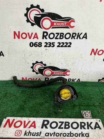 8200795337 Renault (RVI)