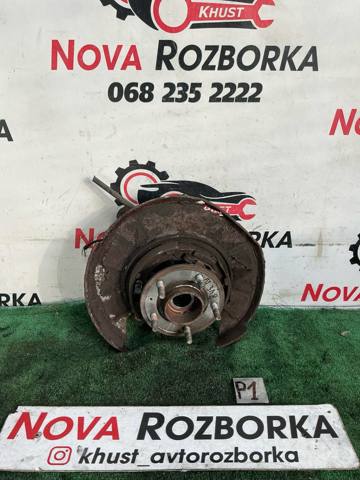 Цапфа - поворотний кулак задній, правий 96626434 GM