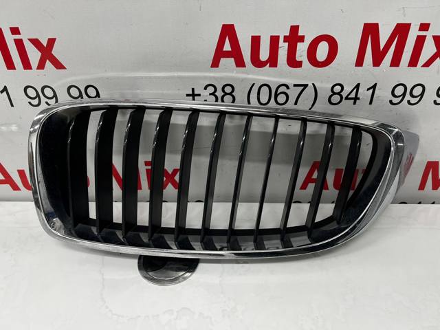 Решітка радіатора 7294813 BMW