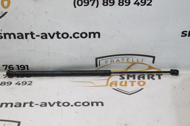 Амортизатор задньої ляди 13258179 GM