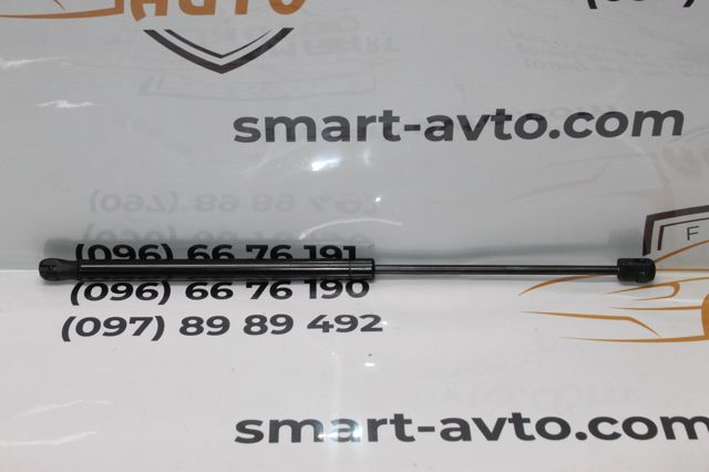 Амортизатор двері задньої 13338367 GM