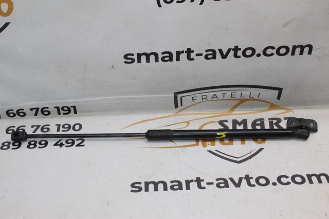 Амортизатор двері багажника 39021480 GM