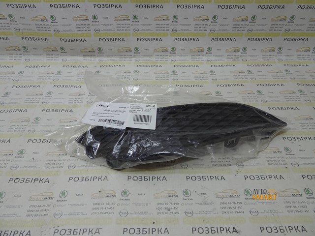 Решітка переднього бампера, права 6502075052912P 4MAX