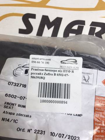 Решітка переднього бампера, права 6502075063918Q 4MAX