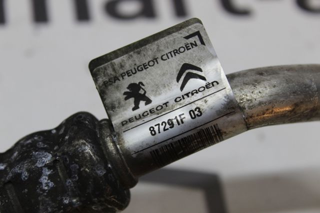 9678270580 Peugeot/Citroen