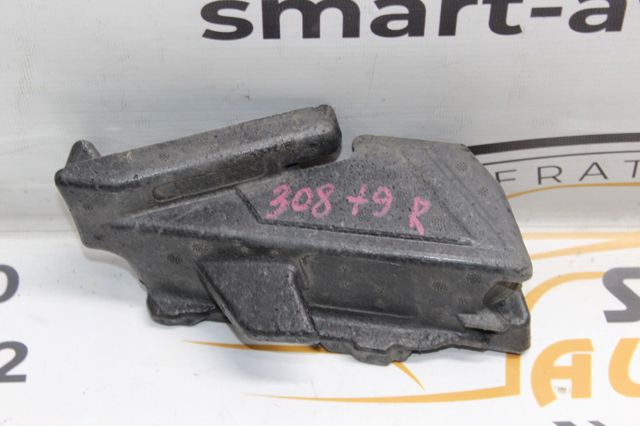 9808244980 Peugeot/Citroen