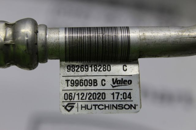 9826918280 Peugeot/Citroen