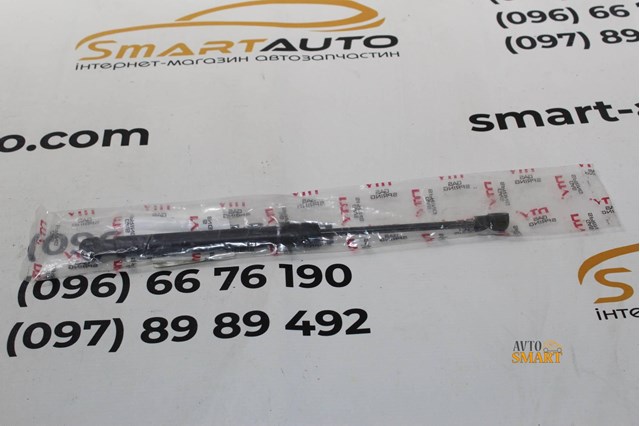 Амортизатор кришки багажника AEME049 NTY