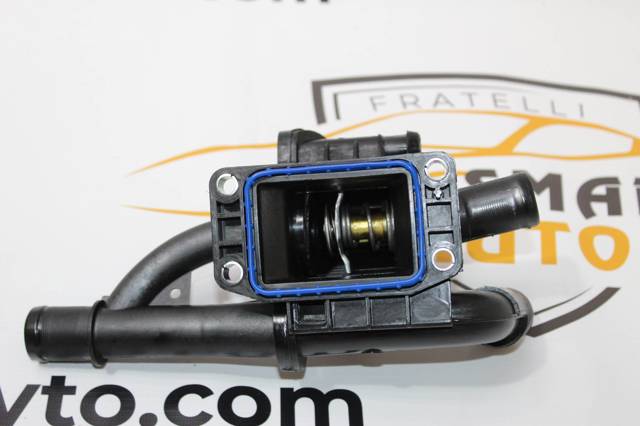 Термостат в зборі D2C011TT THERMOTEC