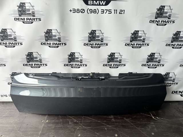 Двері багажника 41007931937 BMW