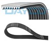 Поліклиновий ремінь 8PK1230 DAYCO