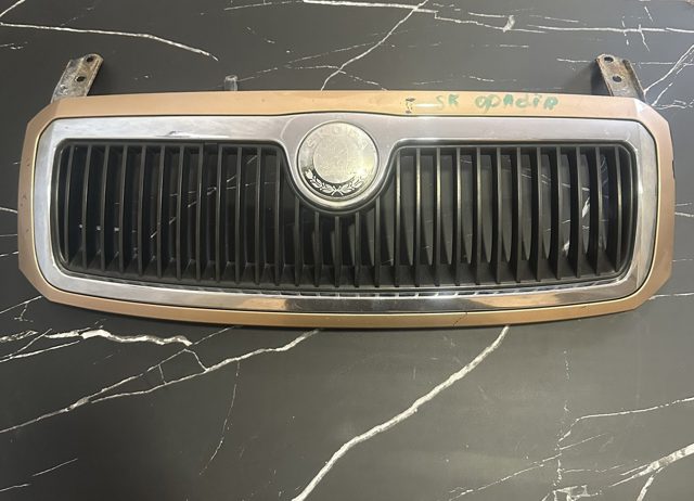 Решітка Skoda Fabia 1