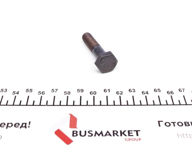 Болт кріплення передньої кульової опори до цапфи 03973 FEBI