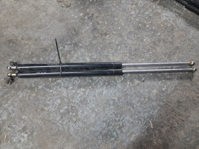 Амортизатор двері 3/5-ї задньої 120055 MAXGEAR