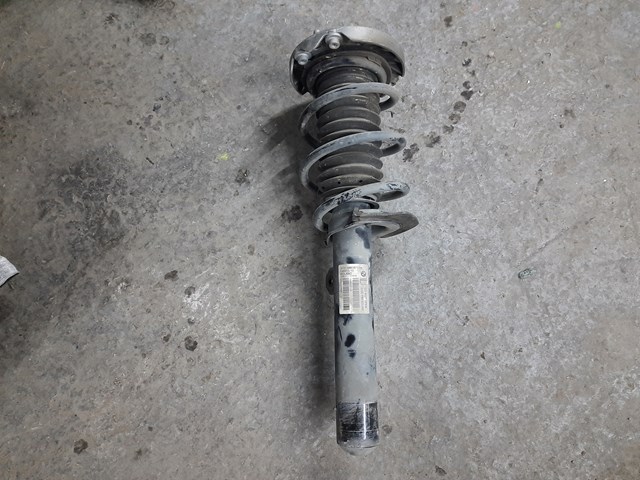 Амортизатор передньої підвіски, лівий 31316861671 BMW