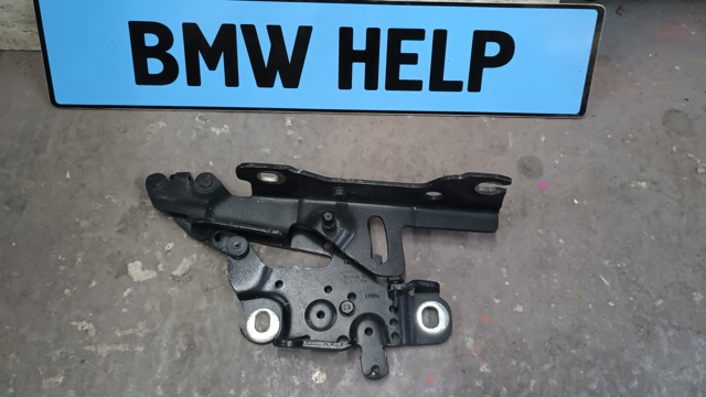 Шарнір капота лівий 41617286343 BMW