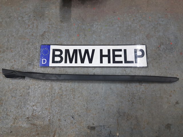 Захисна накладка переднього скла ліва 51317475979 BMW