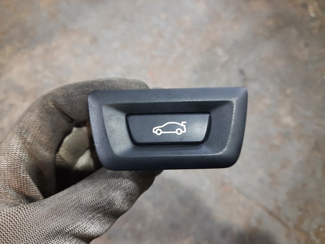 Ручка п'ятих дверей, зовнішня 61319275119 BMW