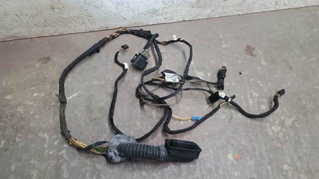 Джгут проводів задніх дверей 9313653 BMW