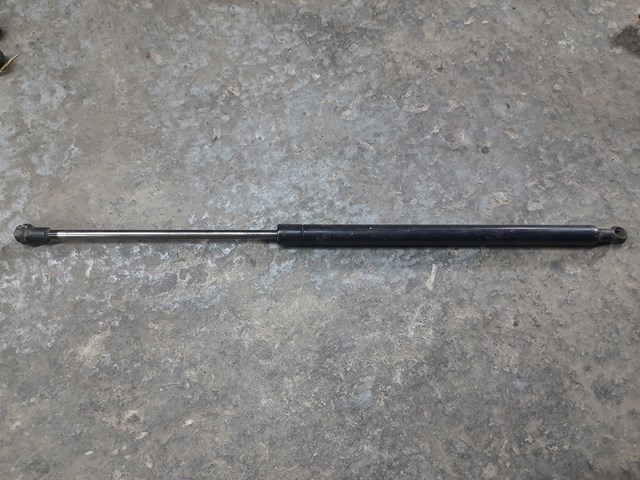 Амортизатор двері п'ятої AG17493 OPTIMAL
