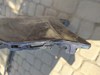 Бампер передній в зборі 2K5807221 VAG