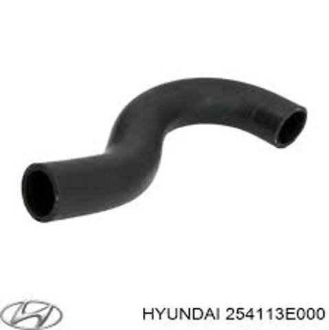 Шланг/патрубок радіатора охолодження, верхній 254113E000 HYUNDAI