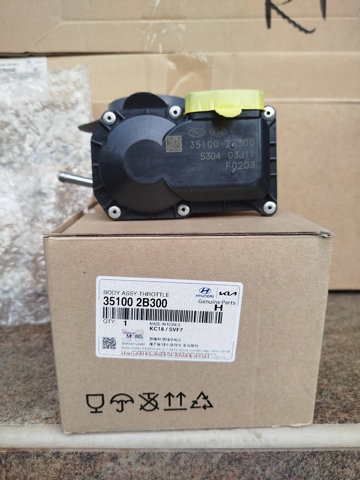 Дросільна заслінка в зборі 351002B300 HYUNDAI