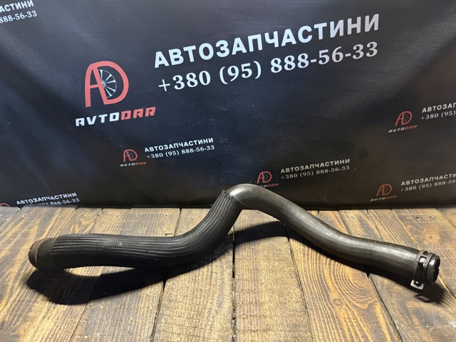 Патрубок системи охолодження 215010021R RENAULT
