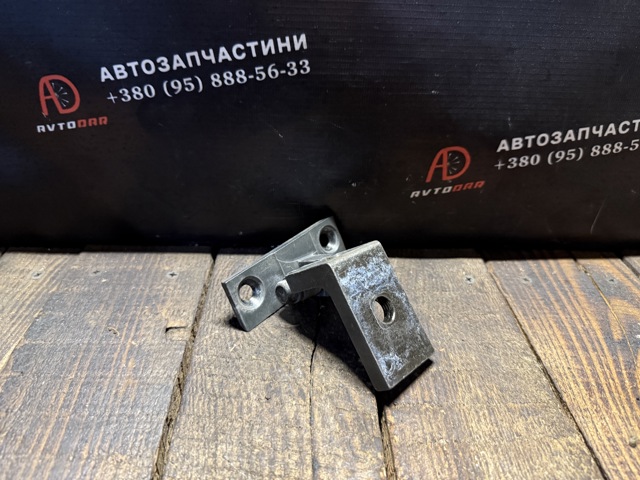 Петля водійських дверей 41517176847 BMW