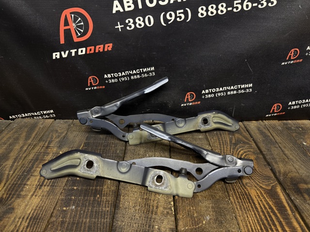 Петля кришки багажника 41627210675 BMW