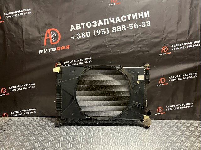 Радіатор основний A1695000703 MERCEDES