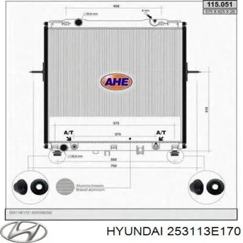 Радіатор двигуна 253113E170 HYUNDAI