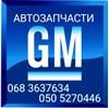 Двері (передні) кабіни в зборі 95367103 GM