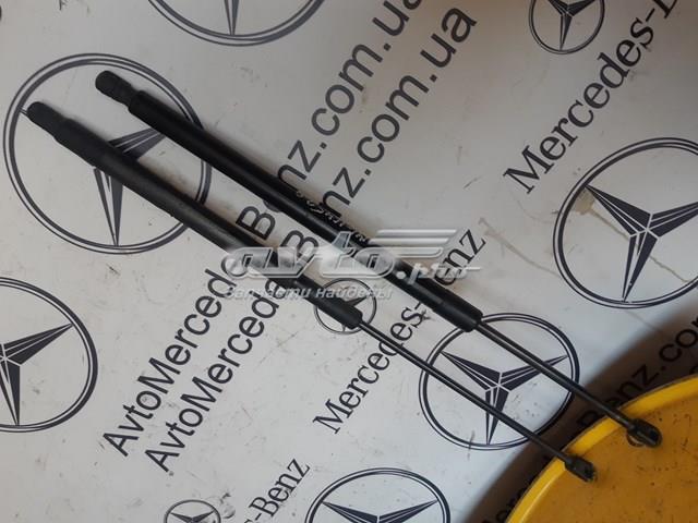 Стійка капота ліва A1648800029 MERCEDES