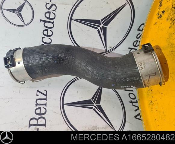 Шланг/патрубок інтеркуллера A1665280482 MERCEDES