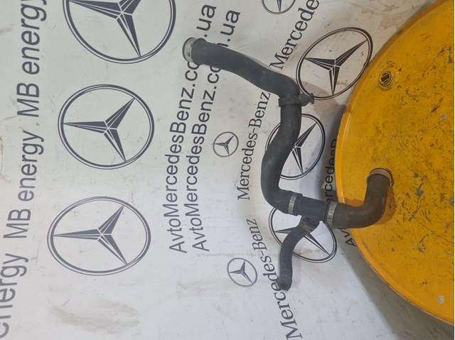 Шланг/патрубок радіатора охолодження, нижній A2035011082 MERCEDES