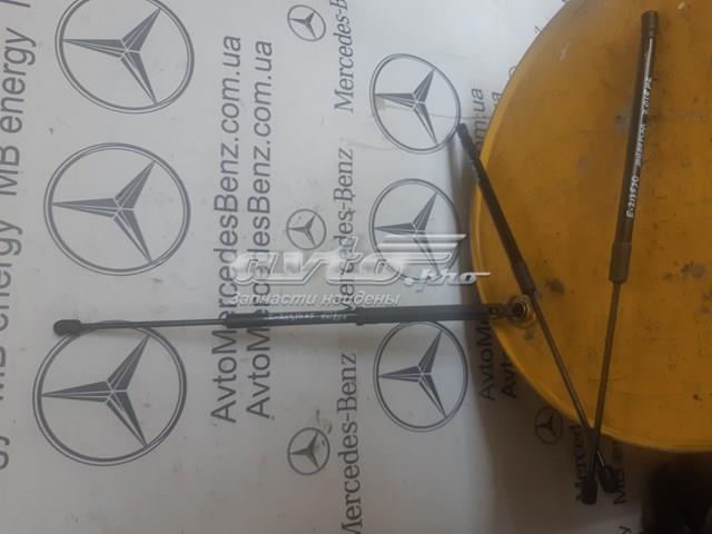 Опора капота ліва A2139800164 MERCEDES
