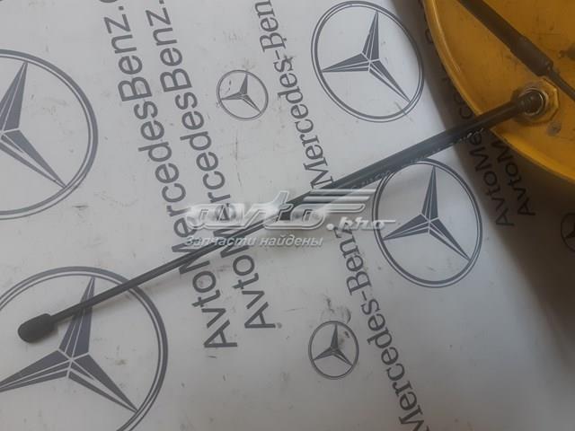 Амортизатор задньої ляди A2139800564 MERCEDES