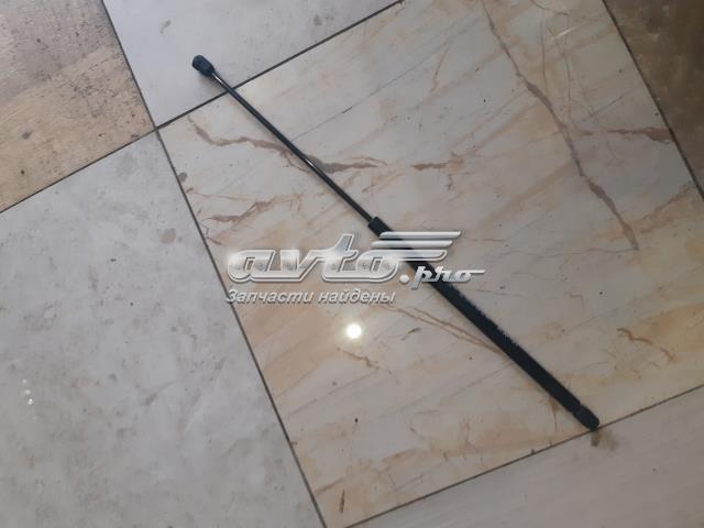 Амортизатор під капот A2208800329 MERCEDES