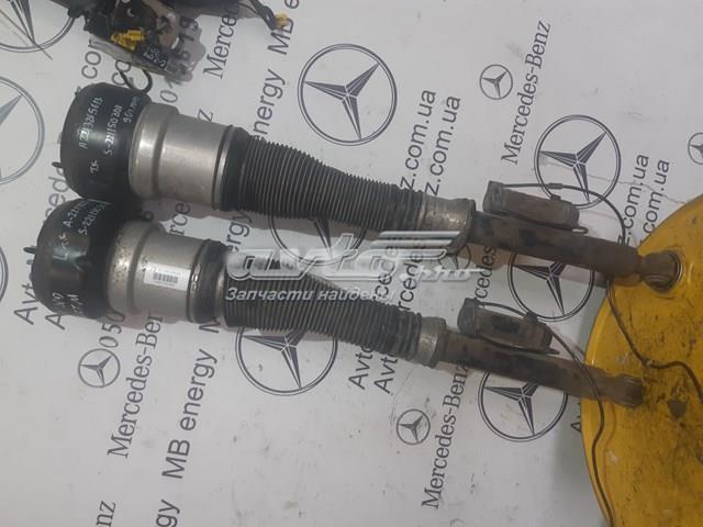 Амортизатор задній, правий A2213205613 MERCEDES