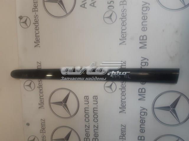 Накладка передніх дверей A6396900262 MERCEDES