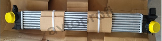 Система охолодження наддувочного повітря 309034 NRF