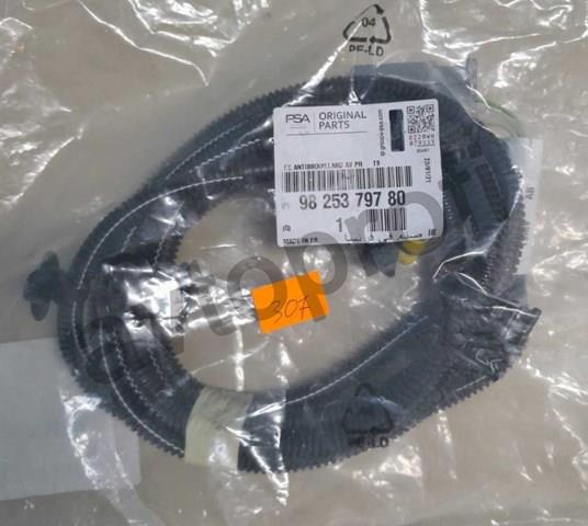 9825379780 Peugeot/Citroen