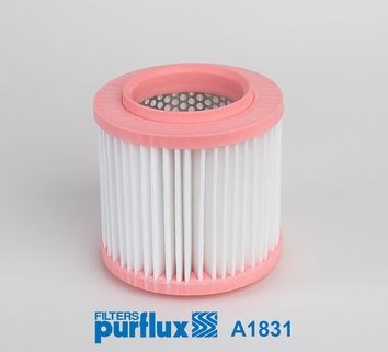 Система автоматичного очищення повітряного фільтра A1831 PURFLUX