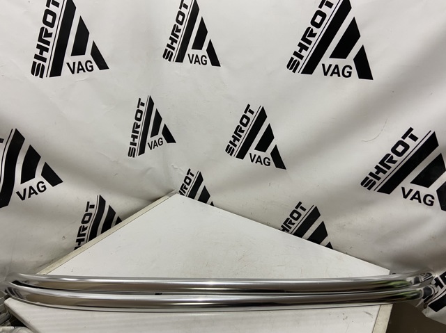Рейлінг даху лівий 8U0860021A VAG