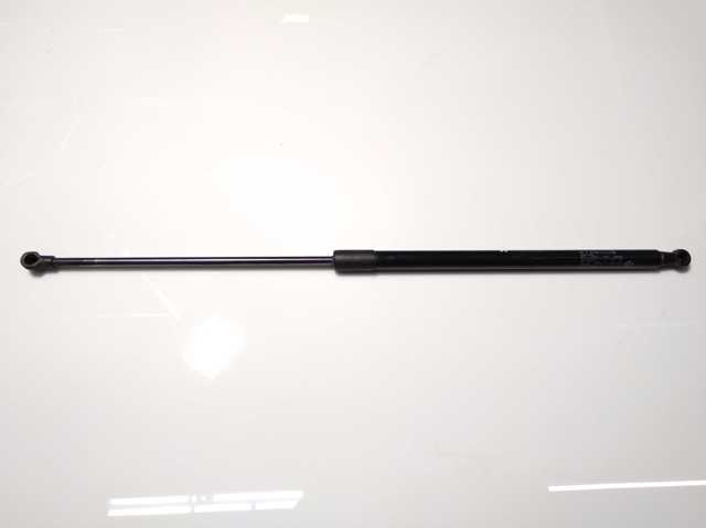 Амортизатор задньої ляди 51247296775 BMW