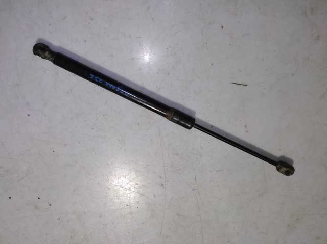 Амортизатор ляди 904510001R RENAULT