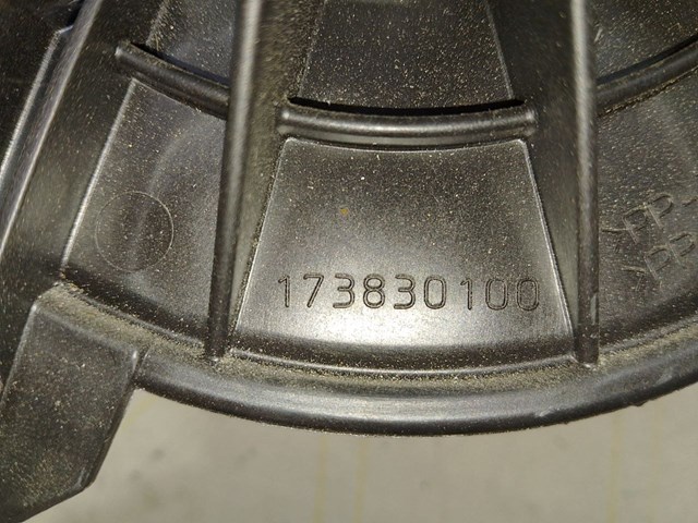 Моторчик пічки 173830100 RENAULT